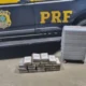 "PRF Captura 22 Kg de Cocaína em Ônibus na Bahia!"