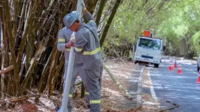 Bambuzal j&aacute; tem metade da nova ilumina&ccedil;&atilde;o instalada