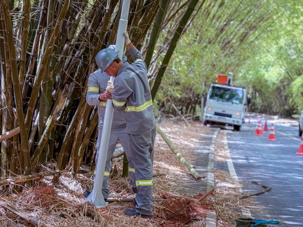 Proficionais colocando poste de luz no Bambuzal