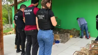 Opera&ccedil;&atilde;o resgata aves silvestres mantidas em cativeiro em Igua&iacute;