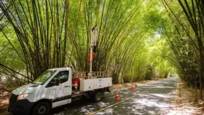 Banho de Luz chega ao Bambuzal e transforma a noite em Lauro
