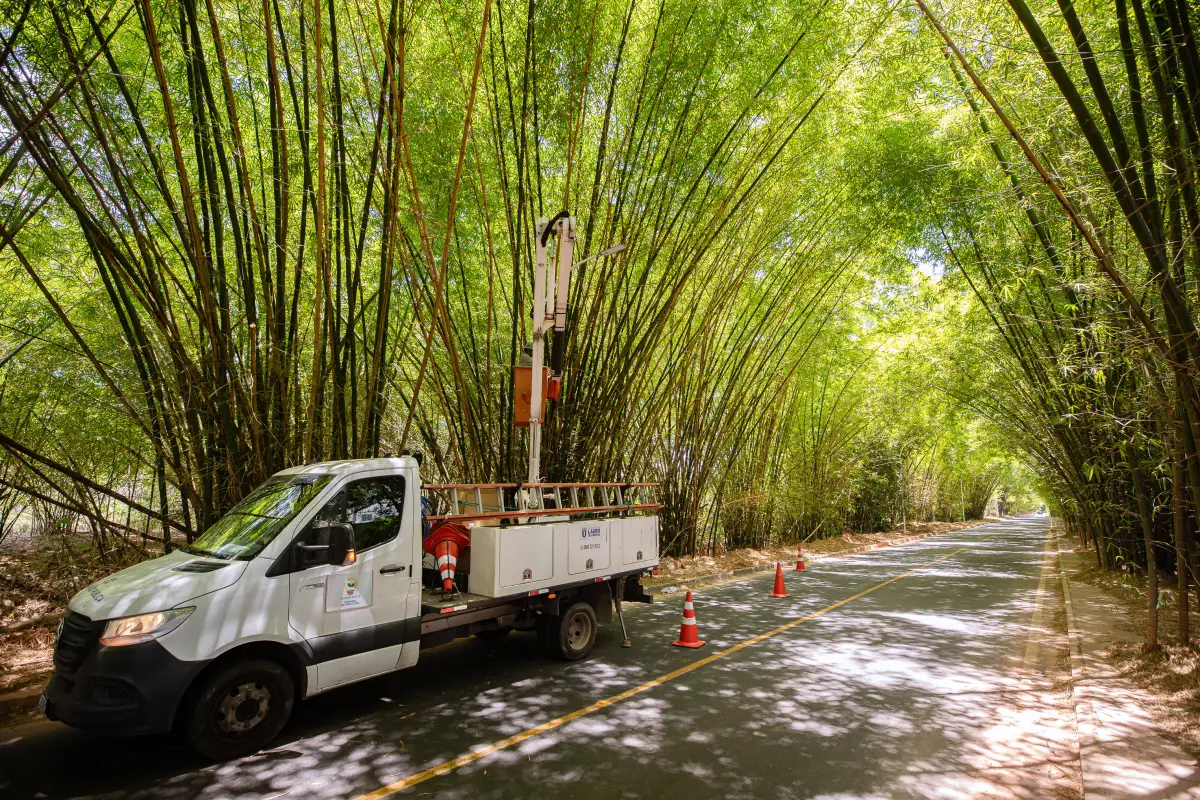 Carro com trabalhador colocando lâmpadas nos postem no Bambuzal