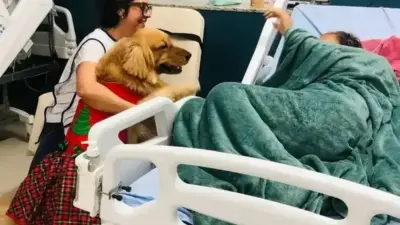 C&atilde;o terapeuta leva al&iacute;vio e afeto a pacientes paliativos em Salvador