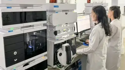 Pesquisa baiana sobre abelhas sem ferr&atilde;o ganha pr&ecirc;mio internacional