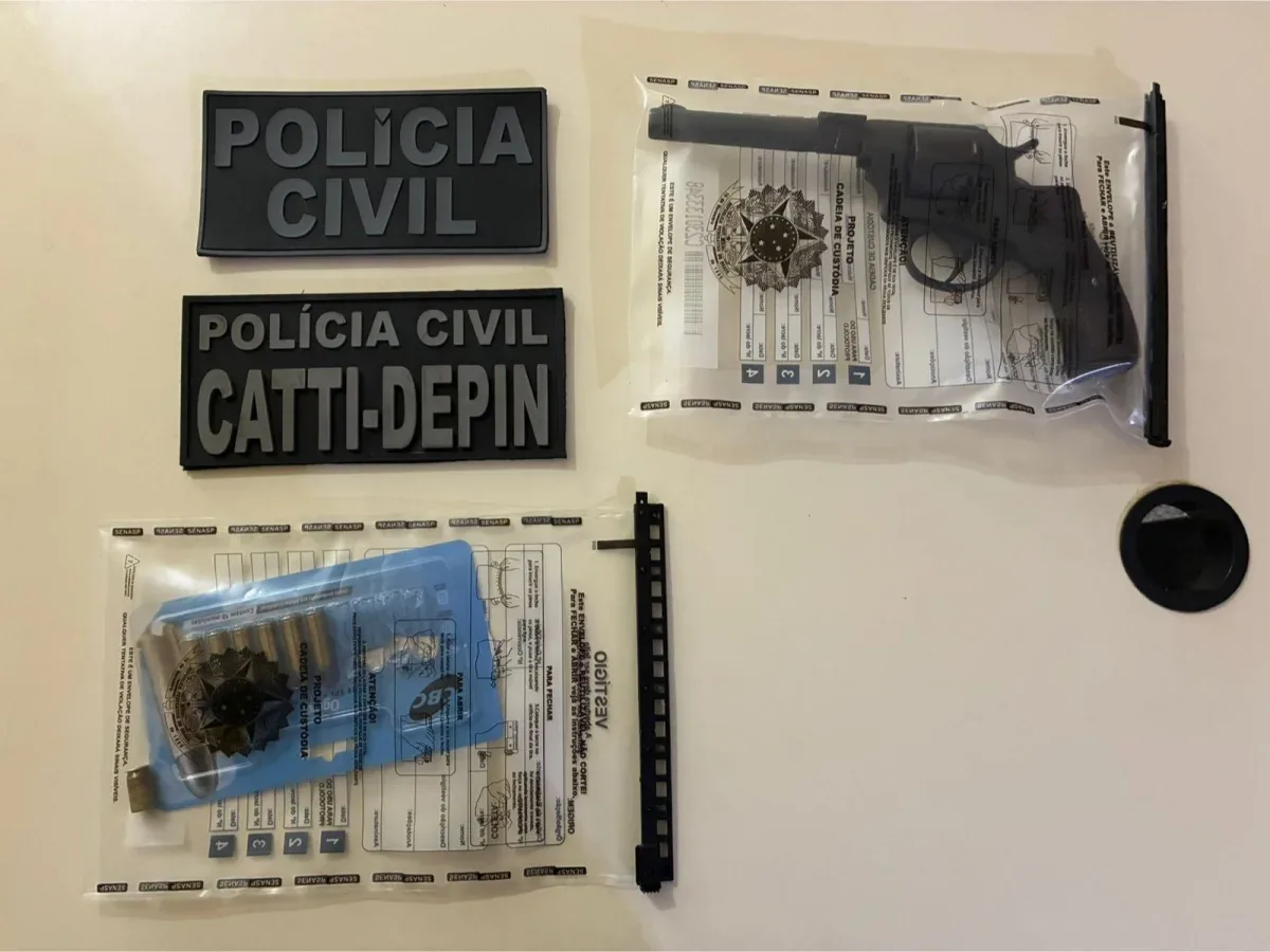 Armas e munições apreenções feitas pela polícia civil