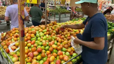 Alívio no bolso: cesta básica tem 4ª queda seguida em Salvador