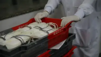 Crise no Hemocentro: Aumento de acidentes de f&eacute;rias pressiona rede hospitalar da Bahia