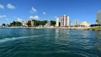 Mergulho em Salvador: naufr&aacute;gios e corais a 100 metros da costa