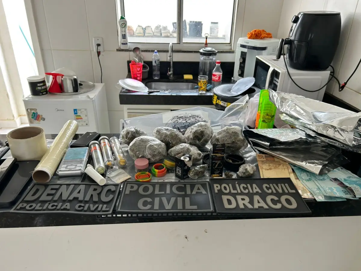 Drogas apreendidas pela polícia civil