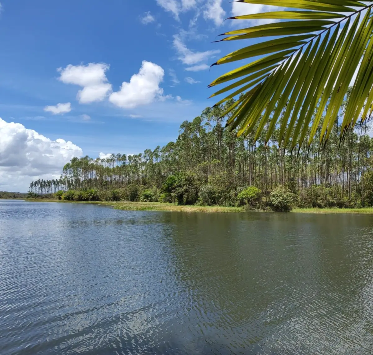 Lago na Bahia Lago na Bahia