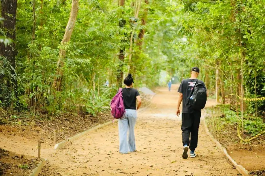 um homem e uma mulher caminhando em um parque