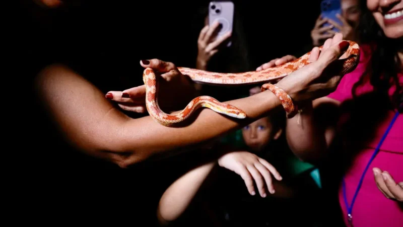 Pessoas no zoo pegando uma cobra