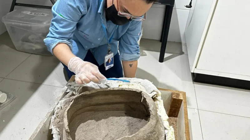 trabalho de curadoria em Laboratório em Senhor do Bonfim_Sítio Maristas