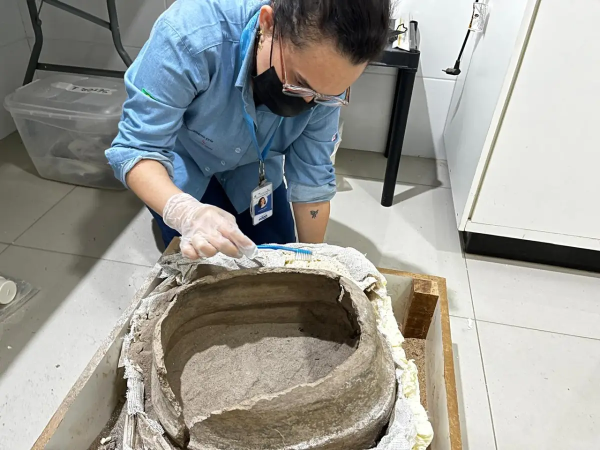 trabalho de curadoria em Laboratório em Senhor do Bonfim_Sítio Maristas