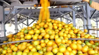 F&aacute;brica d&aacute;Sim injeta R$ 20 mi e 100 vagas em Dias d’&Aacute;vila