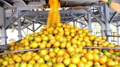 Ibametro interdita 28 bombas de combust&iacute;vel na RMS