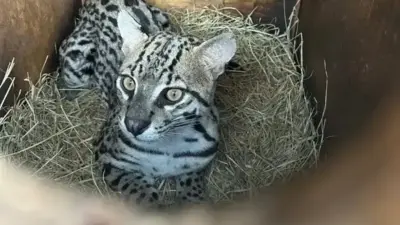 Caravana de Direitos Humanos atende Cama&ccedil;ari com 15+ servi&ccedil;os gratuitos