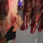 Operação Harpia prende seis por esquema de carne clandestina na Bahia
