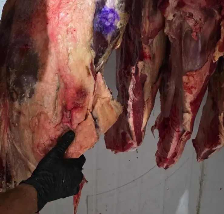 Carne bovina clandestina