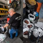 Polícia Civil apreende 100 kg de cabos de cobre em Candeias