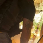 Polícia Civil desarticula estufa de maconha em Porto Seguro