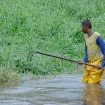 Prefeitura limpa canal do Rio Sapato em Ipitanga