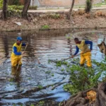 Prefeitura prossegue com limpeza do Rio Sapato em Lauro de Freitas