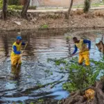 Prefeitura prossegue com limpeza do Rio Sapato em Lauro de Freitas
