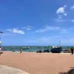 34 anos da APA Litoral Norte: conserva&ccedil;&atilde;o e turismo sob press&atilde;o imobili&aacute;ria