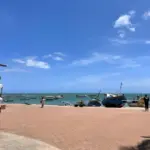 34 anos da APA Litoral Norte: conservação e turismo sob pressão imobiliária