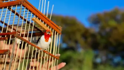 Bahia investe R$ 23 milh&otilde;es em planos h&iacute;dricos e monitora 332 rios