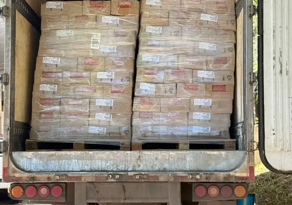 Caminh&atilde;o com salcichas vencidas com destino a Salvador