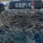 Prefeitura de Lauro de Freitas d&aacute; 15 dias para operadoras arrumarem fia&ccedil;&atilde;o no Centro