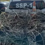 Prefeitura de Lauro de Freitas dá 15 dias para operadoras arrumarem fiação no Centro