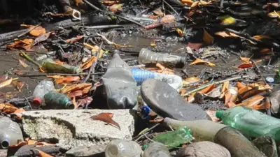 Mutir&atilde;o retira 2 toneladas de lixo da Foz do Rio Joanes em Lauro de Freitas