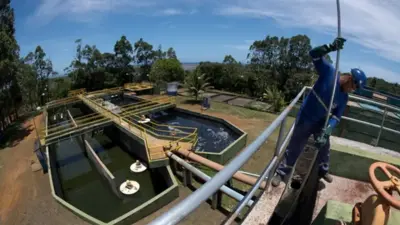 SAC Bahia oferece CIN gratuita para autistas em 4 postos durante abril