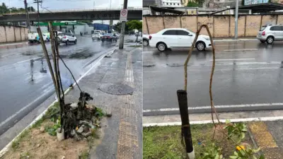 Bolsa Família em Salvador convoca 445 mil para acompanhamento de saúde