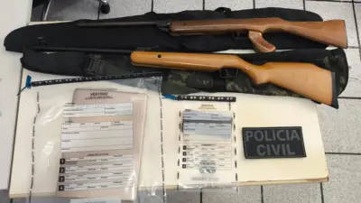 armas apreendidas pela policia civil