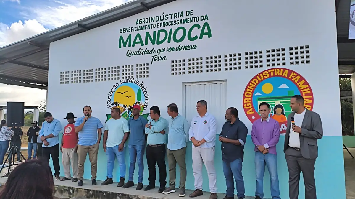 Produtores de mandioca