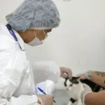 Público aprova consultório de esporotricose no Hospital Veterinário de Salvador