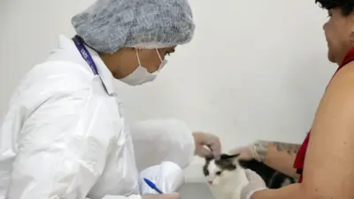Público aprova consultório de esporotricose no Hospital Veterinário de Salvador