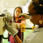 Curso de energia solar da Semdec certifica 496 alunos e insere 60% no mercado