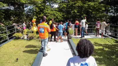 Maio Laranja: Codesal reforça ações contra violência sexual infantojuvenil em Salvador