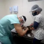 Castração gratuita em Salvador: agendamento para cães e gatos está aberto