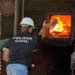 Polícia Civil incinera 98 quilos de drogas em Medeiros Neto