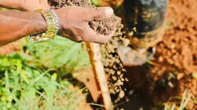 Ambientaliza Salvador: 20 dias de ações sustentáveis começam na segunda (25)