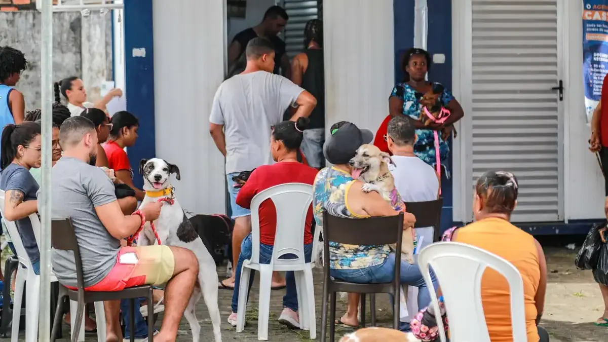 tutores de cachorrinhos em fila para castração gratuita em Salvador