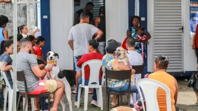 Castração gratuita em Salvador reduz abandono de animais e previne doenças