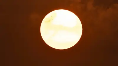 Calor extremo: Brasil pode ter até 127 dias por ano em 2075