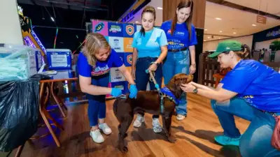 Lauro de Freitas vacina mais de 5 mil animais e ganha ponto fixo de imunização no Parque Shopping Bahia
